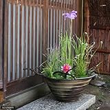 手作り睡蓮鉢(メダカ鉢) 益子焼 彩(SAI) 渦潮 炭化 睡蓮鉢・金魚鉢・メダカ鉢