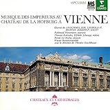 ��z�̉��y��(25)�E�B�[���̉��{�ɂ�����c��̉��y��