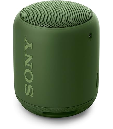 Amazon.co.jp: ソニー ポータブルドックスピーカー RDP-NWT19