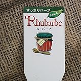 ハーブ 苗 【ルバーブ】 3号ポット×5株セット