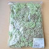 大地農園 アイスランドモス 40g (グリーン)