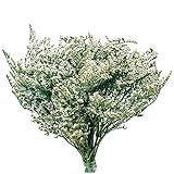 東京堂 ドライフラワー タタリカ (約40ｇ入り) ナチュラル FD000107