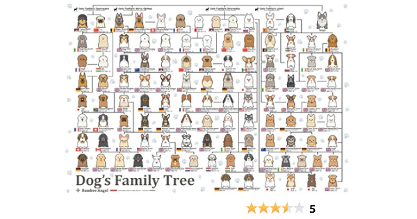 1000ピース ジグソーパズル 犬の系統図 49x72cm ジグソーパズル おもちゃ Amazon