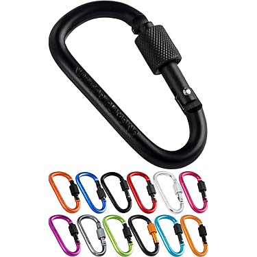 Amazon.co.jp 最新リリース: アクセサリ・カラビナキーチェーン の新着