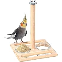 木製ケージ止まり木付き【未使用】 61NCjEUtPJL._AC_UL210_SR210,