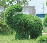 ガーデニング トピアリー 286A550 光の楽園 ゾウ S 約 幅65×奥行28×高さ50cm
