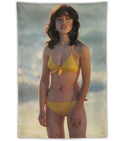 中森明菜　タペストリー Amazon.co.jp: 中森明菜 タペストリー 壁掛け 壁飾り 装飾布
