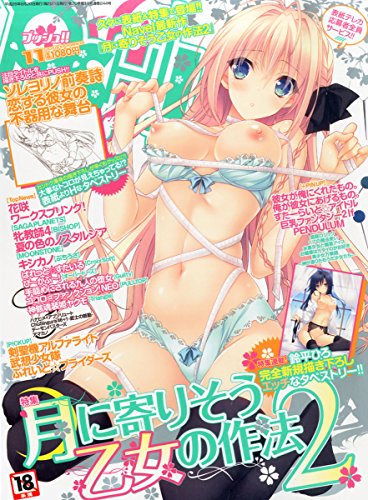 18禁ゲーム 何故エロゲ業界は2001年から衰退し続けなのか セントラル ステーション分室