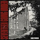 Seventeen Going Under