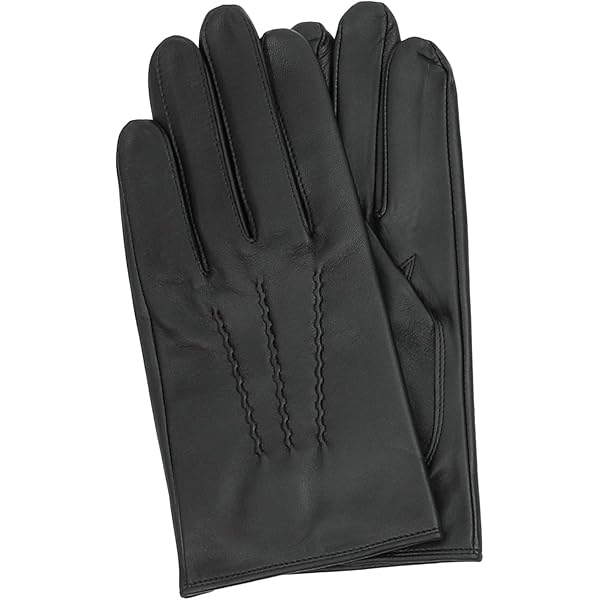 Amazon | DENTS/デンツ レザーグローブ 皮手袋 ジェームズ