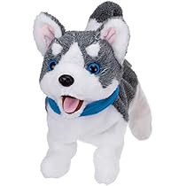 Amazon.co.jp: イワヤ(IWAYA) うれしさバクハツ! おでむかえワンワン