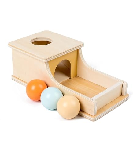 IEATFO Montessori Play Kit For Babies 6-9 Months - Wooden Ball & Coin Drop Box, Shape Sorter, Rainbow Stacker - View #8