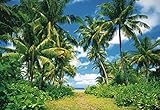 Palm Treesポスター写真壁紙 – Island in the Sun 8-parts ( 145 x 100インチ)