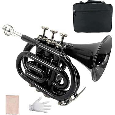 Amazon.co.jp 売れ筋ランキング: ポケットトランペット の中で最も人気