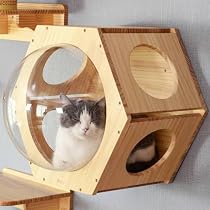 Amazon.co.jp: Bonarca キャットウォーク 壁 カプセル キャット
