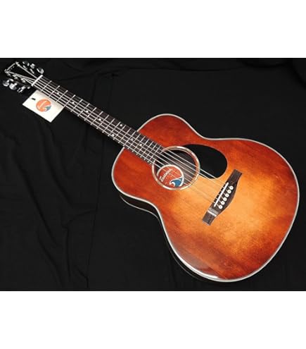 Amazon | イーストマン オール単板 アコースティックギター EASTMAN