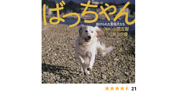 ばっちゃん 助けられた繁殖犬たち 夕香 井上 左智 小関 本 通販 Amazon