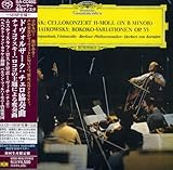 �h���H���U�[�N:�`�F�����t�� ���Z�� ��i104�A�`���C�R�t�X�L�[:���R�R�̎��ɂ��ϑt�� ��i33