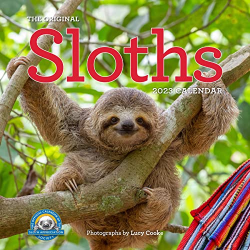 Amazon Original Sloths Wall Calendar 2023 Workman Calendars Mammals