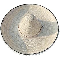 61NNGaTJ1rL._AC_UL210_SR210,