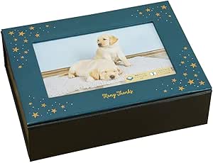 低価格 アルバムbox100 Vanjoh 2l判 100枚収納 2008 星 アルバム Www We Job Com