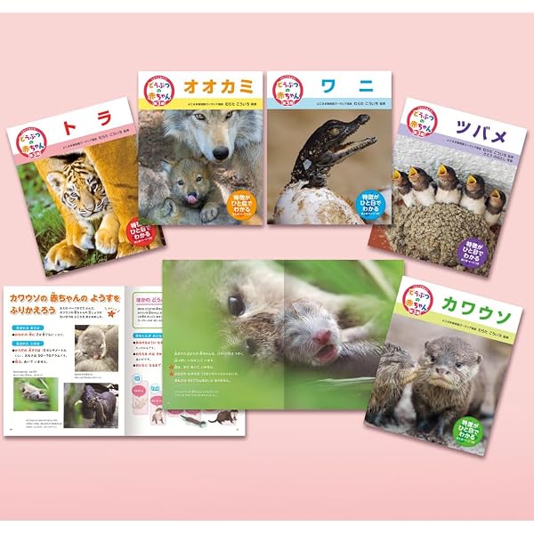 Amazon.co.jp: くらべてみよう!どうぶつの赤ちゃん(全10巻セット