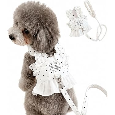 Amazon.co.jp 最新リリース: 犬用服・アクセサリ の新着ランキングです。