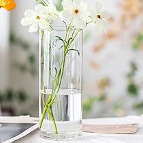 Amazon.co.jp: YJFFQ ガラスの花瓶 透明 花器 フラワーベース