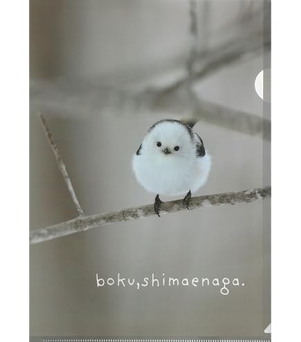 油絵　シマエナガ　A4サイズ 送料無料】A3・A4ポスター【シマエナガ水彩画】小鳥 かわいい