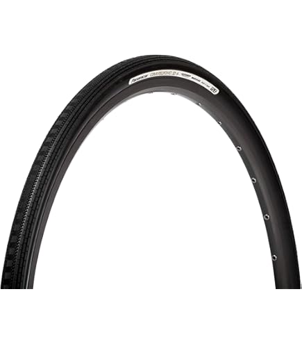 Amazon | パナレーサー(Panaracer) 700×32C グラベルキングSK