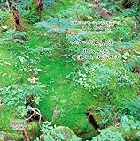 こころの旅 ~音の風景~③「深山の伏流水」 伝聴研リラクゼーション自然音シリーズ こころの旅 ~音の風景~③「深山の伏流水」 伝聴研リラクゼーション自然音シリーズ