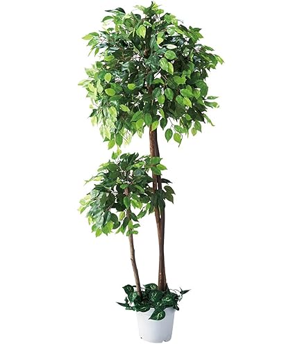 Amazon｜フェイクグリーン アレカヤシ 180cm 1台 【 観葉植物 フェイク