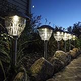 Set of 6 High Quality Water Resistant Solar Stainless Steel Path Lights with Warm White LEDs and Gar