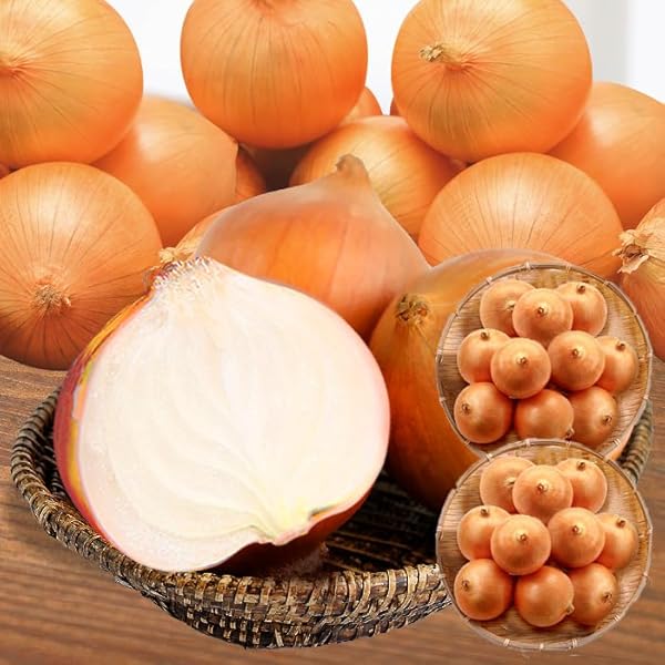 Amazon.co.jp: 佐賀県産 新たまねぎ・たまねぎ 1ケース 約10kg Tanaka