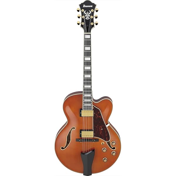 Amazon | Ibanez アイバニーズ Artcoreシリーズ フル・ホロウ・ギター 