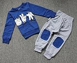 小売り！2016新秋児童の服で、男の子と女の子石はさみ布のレジャーやスポーツのスーツ、赤ちゃんの男の子の服。