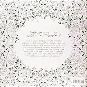 Secret Garden: An Inky Treasure Hunt and Coloring Book