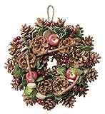 大橋新治商店 木の実のリース Natural Wreath リース 25cm 木の実ミックス 28-005