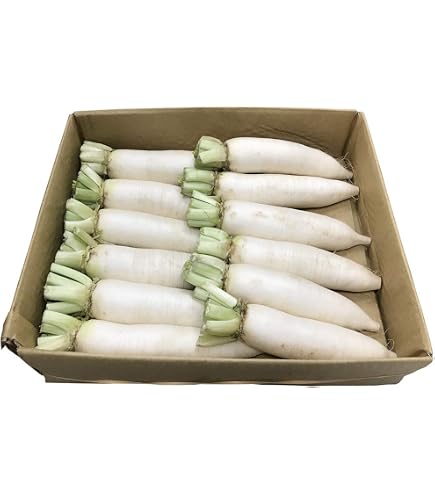 大根 15個セット Amazon.co.jp: ﾐﾔﾏ 2枚ぱりぱりさくら大根 15個入り : 食品・飲料・お酒