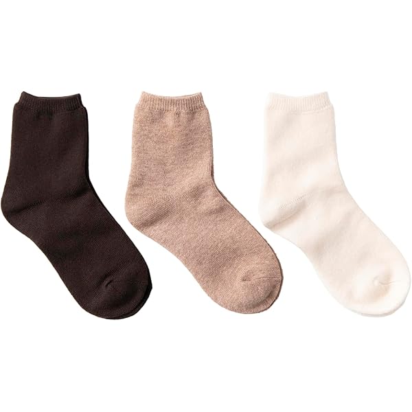 Amazon.co.jp: [ホカロン] 履く 靴下 メンズ 2P ソックス 厚手 暖かい