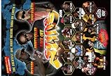 STING 2009 -FACE OFF-