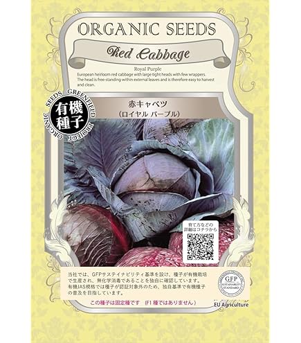 Amazon.co.jp: 植物種子 ポリフェノールを含む赤紫とんがりキャベツ 種