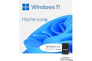 Windows 11 DSP 日本語版 (Home, インストールUSBセット)