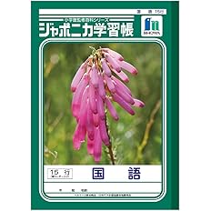 Amazon ショウワノート 学習帳 ジャポニカ 国語 15行 縦リーダー入り B5サイズ 学習帳 練習帳 文房具 オフィス用品