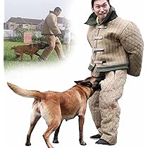 61NhFEv973L._AC_UL210_SR210,