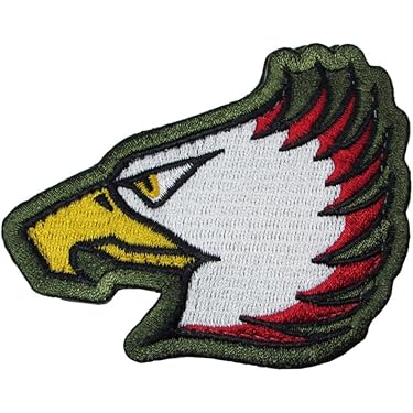 Amazon.co.jp 最新リリース: 刺繍入りアップリケパッチ の新着