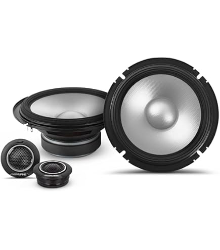 Amazon.co.jp: Alpine S-W12D2 12インチ カーサブウーファー S