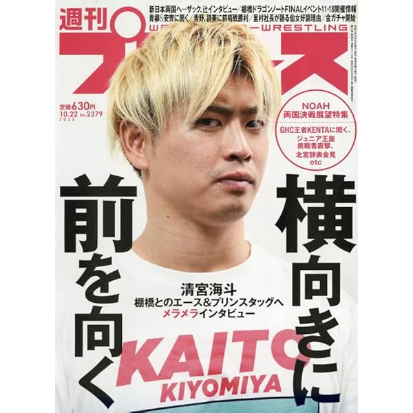 新日本プロレス　雑誌　17冊セット　おまけ付き 新日本プロレス 雑誌 17冊セット おまけ付き ベースボール