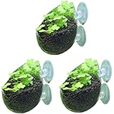 Amazon ジュン Jun 水槽 グラスポット ジュン Jun 水槽 通販