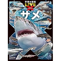 Amazon.co.jp: サメ (学研の図鑑LIVE エクストリーム) : アクア